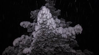 Wintereinbruch auch im Vogtland [upl. by Daloris845]