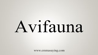 How To Say Avifauna [upl. by Thaddaus]