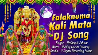 Falaknuma Kali Mata Dj Song  Chettu Kinda Dorasani  Old City Amruth Potharaju  Peddapuli Eshwar [upl. by Stubbs]