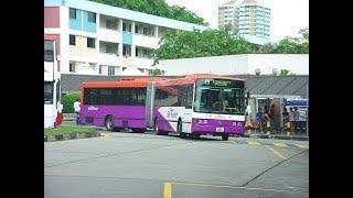 The History of Singapores Transit Buses Part 23 20012016 [upl. by Urbas309]