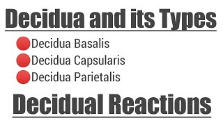 Decidua and its Types  Decidual Reactions [upl. by Ttelracs559]