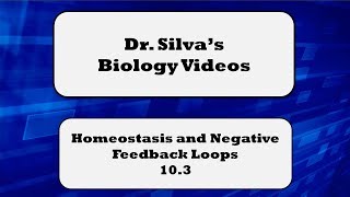 Homeostasis and Negative Feedback Loops – 103 – Biol 189 [upl. by Mischa697]