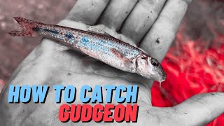 Gudgeon Fishing  How to Catch Gudgeon [upl. by Hgierb]