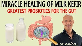 MIRACLE HEALING OF MILK KEFIRGREATEST PROBIOTICS FOR THE GUT  Dr Alan Mandell DC [upl. by Backler362]