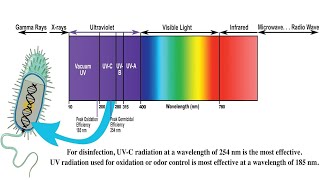 Understanding Ultraviolet UV Radiation and its Effects [upl. by Aimak]