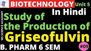 Production of GriseofulvinIn HindiPharmaceutical Biotechnology Unit 5 B Pharmacy 6 SemL9 [upl. by Apostles]