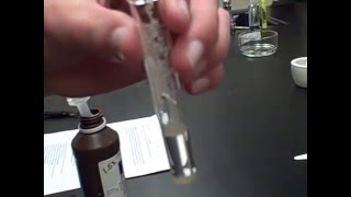 Catalase Enzyme Lab Test 2 H2O2  Sand Mr Pauller [upl. by Lexi]