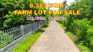 FARM LOT FOR SALE  PROP 87  8383 SQM  DOLORES QUEZON [upl. by Vitale500]