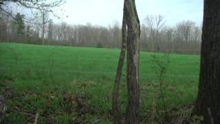 Chasing Spring  Missouri Youth Hunt [upl. by Joon]