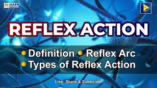 What is Reflex Action [upl. by Cecilio314]