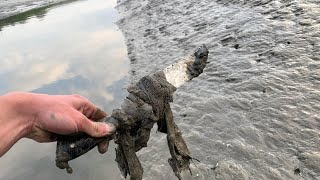 Mudlarking in Kent leads to a golden JACKPOT [upl. by Florry]