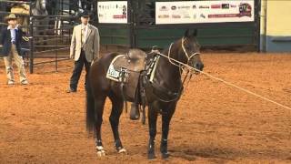 2012 AQHA World Championship Show Part 2 [upl. by Talie548]