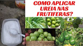 COMO APLICAR UREIA NAS FRUTIFERAS  Passo a Passo [upl. by Loram861]