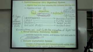 Intro to Human Physiology by Professor Fink [upl. by Alla326]