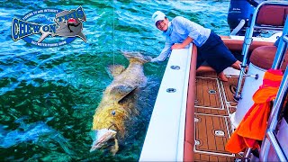 KIDS FISHING Show Compilation Videos  HAMMERHEAD SHARK  BIG Fish GOLIATH GROUPERS [upl. by Georgianna]