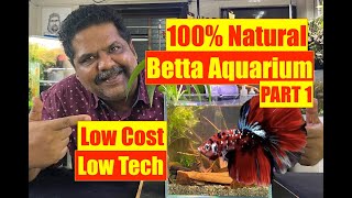 How to Start Right  Betta Aquarium  Beginners Betta Fish Tank  Mayur Dev Aquascaper  PART ONE 4K [upl. by Aramoix]