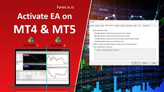 How to Activate Expert Advisors on MT5 amp MT4 Platform [upl. by Alaster934]