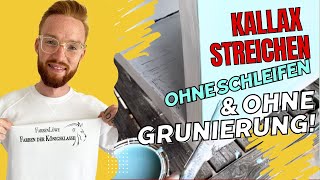 Kallax streichen Ikea Kallax Regal streichen und ohne schleifen lackieren  farbenloewede [upl. by Ardnohs762]