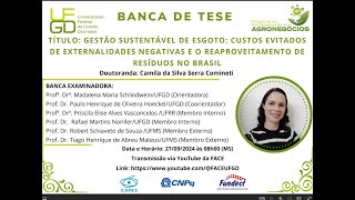 Gestão sustentável de esgoto custos evitados de externalidades negativas [upl. by Celie]