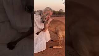 Supernatural Attachment Amazing Love Between Animals and Humans 💖 [upl. by Krispin802]