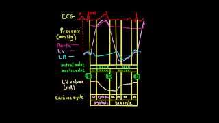 Schneid Guide to Wiggers Diagram [upl. by Yhtommit]