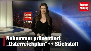 Karl Nehammer präsentiert „Österreichplan“  Hinrichtung mit Stickstoff [upl. by Asenab]