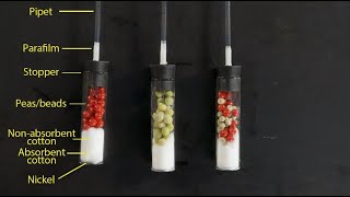 How to Set Up Respirometers [upl. by Agn370]