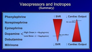 Shock Lesson 5  Pressors [upl. by Tracee460]