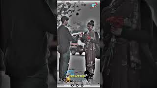 😍Sajan sajan teri dulhan  teri dulhan 💞sarojini sajansamratshergil lovestatus viralshort 1k 🤗 [upl. by Ofori]