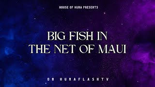 HFTV 51924  BIG FISH IN THE NET OF MAUI [upl. by Floeter]