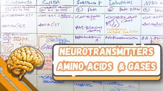 Neurotransmitters Glutamate GABA Substance P Endorphins Nitric Oxide شرح بالعربى [upl. by Helaina]