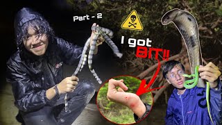 Herping vlog ep12part2CobrasKraits and Vipers🐍 [upl. by Aloise]