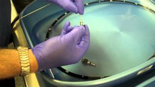 Video Endoscope Cleaning Guidemov [upl. by Civ]