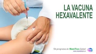 La vacuna hexavalente [upl. by Kampmann]