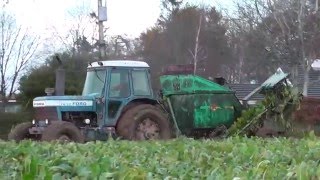 Ford TW20 Tractor with an Armer Salmon Cheetah Beet Harvester pulling Beet [upl. by Davide]