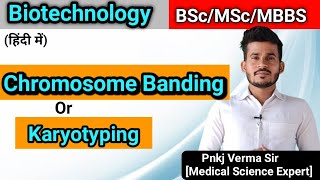 Chromosome Banding Karyotyping  In Hindi [upl. by Lazaruk206]