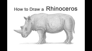 How to Draw a Rhinoceros [upl. by Nahrut826]