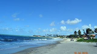 PRAIA DE JACUMÃ 80 km DE NATAL RN BRASIL [upl. by Horgan971]