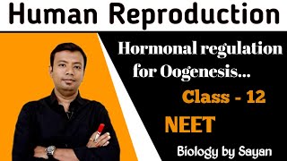 Human reproduction Hormonal regulation for oogenesis Class 12 NEET [upl. by Nilyam]