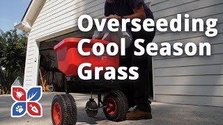 Do My Own Lawn Care  Overseeding Cool Season Grasses  Ep33 [upl. by Sackey]