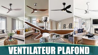 LE MEILLEUR VENTILATEUR DE PLAFOND  Reiga [upl. by Tremann]