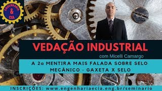 2a Mentira Mais Falada sobre Selo Mecânico  Gaxeta vs Selo  Vedações Industriais [upl. by Tandie]