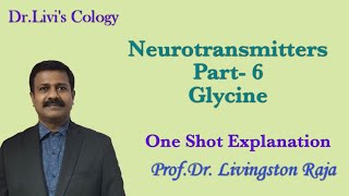 Neurotransmitters Part 6 Glycine Inhibitory neurotransmitters [upl. by Taylor800]