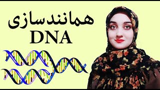 همانندسازی DNA [upl. by Trebmer690]