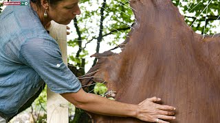 Oak Bark Tanning [upl. by River]