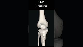 Joelho Translação LM 1  Movimento  Programa Anatomia 3D Software shorts anatomy biology [upl. by Brod]