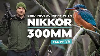 Bird Photography  Nikon D500  300mm F4 PF [upl. by Avan]