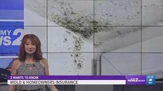 Homeowners insurance does not cover mold treatment and removal [upl. by Arnelle]