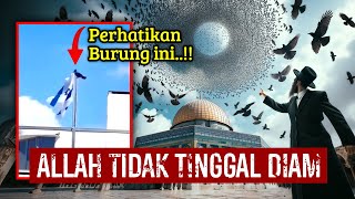 BURUNG ‘ABABIL’ DIKIRIM OLEH ALLAH WARGA ISRAEL KETAKUTAN PERTANDA BAHWA MURKA ALLAH TELAH DEKAT [upl. by Mcgee]