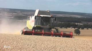 Claas Lexion 580 TT vs 33 ha Sommergerste  Südzucker AG [upl. by Garrity129]